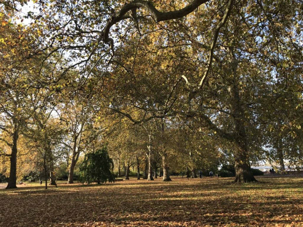 autumn london